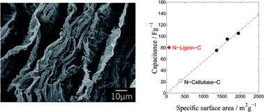 Graphical abstract: High ion adsorption densities of site-selective nitrogen doped carbon sheets prepared from natural lignin