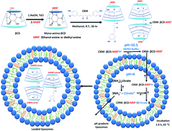 Graphical abstract: Remote loading of curcumin-in-modified β-cyclodextrins into liposomes using a transmembrane pH gradient