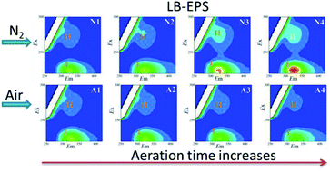 Graphical abstract: Nitrogen aeration alters the spatial distribution and metal adsorption of extracellular polymeric substances in waste-activated sludge