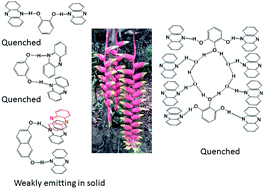 Graphical abstract: Stacking among the clips of the poly-aromatic rings of phenazine with hydroxy-aromatics and photophysical properties