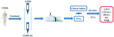 Graphical abstract: Plasma fatty acid metabolic profiling coupled with clinical research reveals the risk factors for atherosclerosis development in type 2 diabetes mellitus