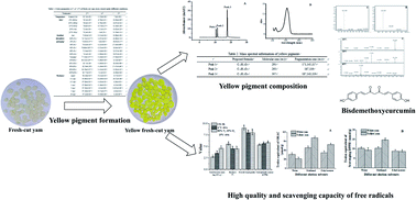 Graphical abstract: Yellow pigment formation, pigment composition, and quality of fresh-cut yam (Dioscorea opposita) slices