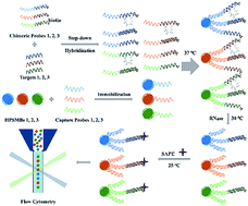 Graphical abstract: Multiplex detection of miRNAs based on aggregation-induced emission luminogen encoded microspheres