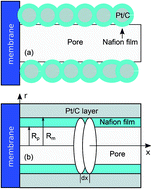 Graphical abstract: Nafion film transport properties in a low-Pt PEM fuel cell: impedance spectroscopy study