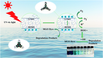 Graphical abstract: Mechanistic investigation of photocatalytic degradation of organic dyes by a novel zinc coordination polymer