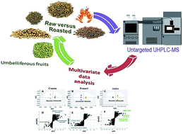 Graphical abstract: UHPLC-MS metabolome based classification of umbelliferous fruit taxa: a prospect for phyto-equivalency of its different accessions and in response to roasting
