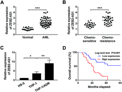 Graphical abstract: Retracted Article: LncRNA ZEB2-AS1 regulates the drug resistance of acute myeloid leukemia via the miR-142-3p/INPP4B axis