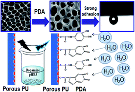 Graphical abstract: The polydopamine-enhanced superadhesion and fracture strength of honeycomb polyurethane porous membranes