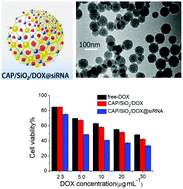 Graphical abstract: pH-sensitive CAP/SiO2 composite for efficient co-delivery of doxorubicin and siRNA to overcome multiple drug resistance