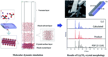 Graphical abstract: Molecular dynamics simulations of solvent effects on the crystal morphology of lithium carbonate