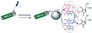 Graphical abstract: Sensitive detection of ascorbic acid using screen-printed electrodes modified by electroactive melanin-like nanoparticles