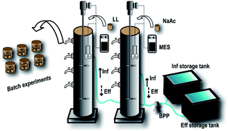 Graphical abstract: The cotreatment of landfill leachate and high-nitrate wastewater using SBRs: evaluation of denitrification performance and microbial analysis