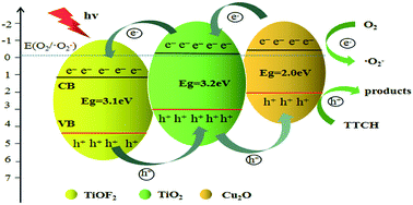 Graphical abstract: Preparation of Cu2O@TiOF2/TiO2 and its photocatalytic degradation of tetracycline hydrochloride wastewater