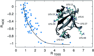 Graphical abstract: Changes in protein hydration dynamics by encapsulation or crowding of ubiquitin: strong correlation between time-dependent Stokes shift and intermolecular nuclear Overhauser effect