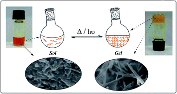 Graphical abstract: Insights into a novel class of azobenzenes incorporating 4,6-O-protected sugars as photo-responsive organogelators