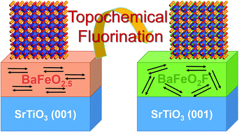 Graphical abstract: Synthesis and characterisation of fluorinated epitaxial films of BaFeO2F: tailoring magnetic anisotropy via a lowering of tetragonal distortion