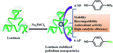 Graphical abstract: Green synthesis of palladium nanoparticles using lentinan for catalytic activity and biological applications