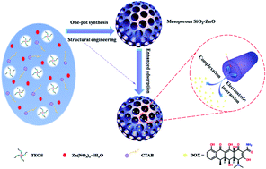 Graphical abstract: The synergetic effect of a structure-engineered mesoporous SiO2–ZnO composite for doxycycline adsorption