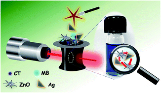 Graphical abstract: Resonance energy transfer-assisted random lasing in light-harvesting bio-antenna enhanced with a plasmonic local field