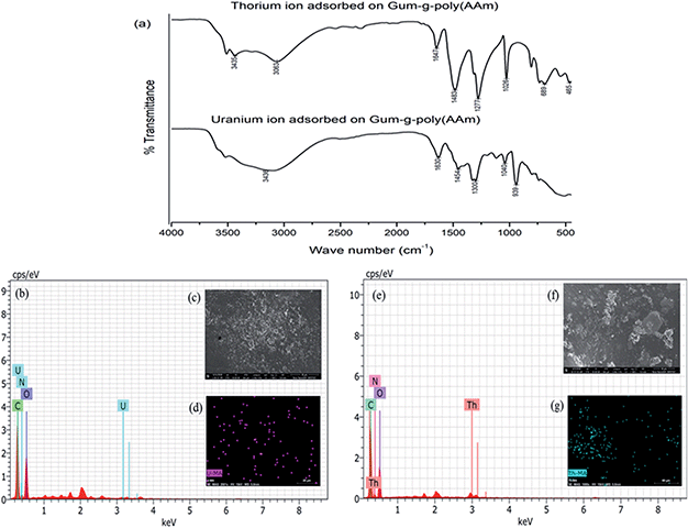 Graphical abstract: Comparative study of uranium and thorium metal ion adsorption by gum ghatti grafted poly(acrylamide) copolymer composites