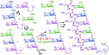 Graphical abstract: Towards the complete synthetic O-antigen of Vibrio cholerae O1, serotype inaba: improved synthesis of the conjugation-ready upstream terminal hexasaccharide determinant