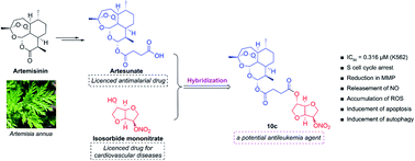 Graphical abstract: Identification of H2S/NO-donating artemisinin derivatives as potential antileukemic agents