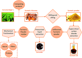 Graphical abstract: Biorefinery of turmeric (Curcuma longa L.) using non-thermal and clean emerging technologies: an update on the curcumin recovery step