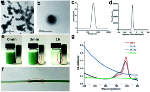 Graphical abstract: Magnetically targeted nanoparticles for imaging-guided photothermal therapy of cancer