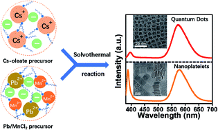 Graphical abstract: Solvothermal synthesis of Mn-doped CsPbCl3 perovskite nanocrystals with tunable morphology and their size-dependent optical properties