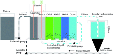 Graphical abstract: Removal of phthalic acid dieters with dissolved organic matter by an anaerobic/anoxic/oxic leachate treatment process