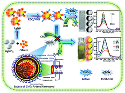 Graphical abstract: A colorimetric nanoprobe based on enzyme-immobilized silver nanoparticles for the efficient detection of cholesterol