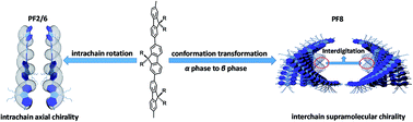 Graphical abstract: Different phase-dominated chiral assembly of polyfluorenes induced by chiral solvation: axial and supramolecular chirality