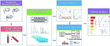 Graphical abstract: Metabolomics study of the anti-inflammatory effects of endogenous omega-3 polyunsaturated fatty acids