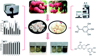 Graphical abstract: Comparison of the phenolic profiles and physicochemical properties of different varieties of thermally processed canned lychee pulp