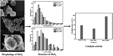 Graphical abstract: Relationship between the structure and catalytic performance of MoS2 with different surfactant-assisted syntheses in the hydrodesulfurization reaction of 4,6-DMDBT