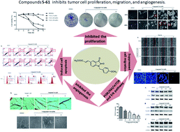 Graphical abstract: Effects of an isatin derivative on tumor cell migration and angiogenesis