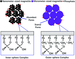 Graphical abstract: Mechanisms that control the adsorption–desorption behavior of phosphate on magnetite nanoparticles: the role of particle size and surface chemistry characteristics