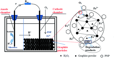 Graphical abstract: A three-dimensional electrode bioelectrochemical system for the advanced oxidation of p-nitrophenol in an aqueous solution