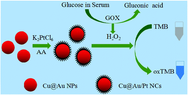 Graphical abstract: Cu@Au(Ag)/Pt nanocomposite as peroxidase mimic and application of Cu@Au/Pt in colorimetric detection of glucose and l-cysteine