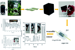 Graphical abstract: Reduced graphene oxide-based highly sensitive pressure sensor for wearable electronics via an ordered structure and enhanced interlayer interaction mechanism