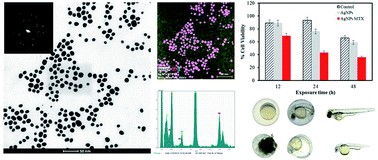 Graphical abstract: Synthesis of controlled-size silver nanoparticles for the administration of methotrexate drug and its activity in colon and lung cancer cells