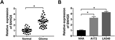 Graphical abstract: Retracted Article: LncRNA SNHG5 regulates the cell viability and apoptosis of glioma cells by the miR-1297/KPNA2 axis