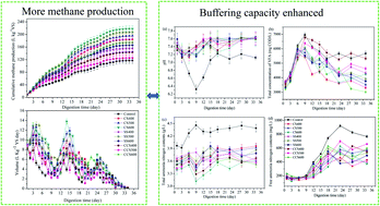 Graphical abstract: Impacts of different biochar types on the anaerobic digestion of sewage sludge