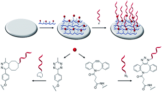 Graphical abstract: Clickable poly-l-lysine for the formation of biorecognition surfaces