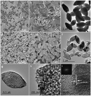 Graphical abstract: MOF-derived ZnCo2O4 porous micro-rice with enhanced electro-catalytic activity for the oxygen evolution reaction and glucose oxidation