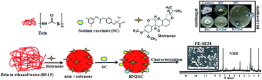 Graphical abstract: Synthesis of rotenone loaded zein nano-formulation for plant protection against pathogenic microbes