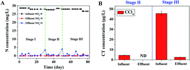 Graphical abstract: Biodegradation of carbon tetrachloride from groundwater in an upflow solid-phase biofilm system