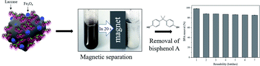 Graphical abstract: Immobilization of laccase on magnetically separable biochar for highly efficient removal of bisphenol A in water