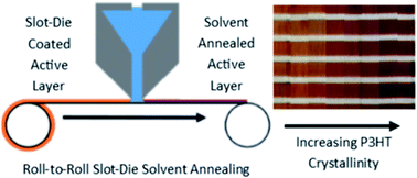 Graphical abstract: Roll-to-roll solvent annealing of printed P3HT : ICXA devices