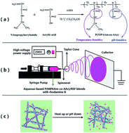 Graphical abstract: Aqueous-based electrospun P(NIPAAm-co-AAc)/RSF medicated fibrous mats for dual temperature- and pH-responsive drug controlled release